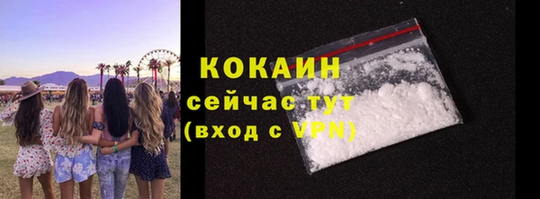 ПСИЛОЦИБИНОВЫЕ ГРИБЫ Абаза