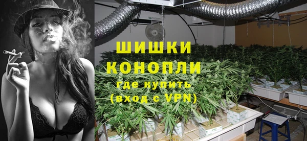 ПСИЛОЦИБИНОВЫЕ ГРИБЫ Абаза