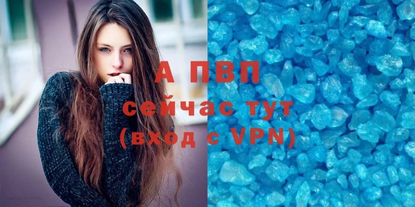 spice Новодвинск