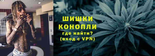 ПСИЛОЦИБИНОВЫЕ ГРИБЫ Абаза
