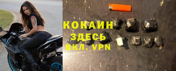 ешки Новозыбков