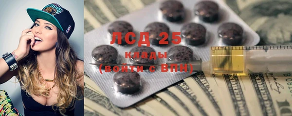ПСИЛОЦИБИНОВЫЕ ГРИБЫ Абаза